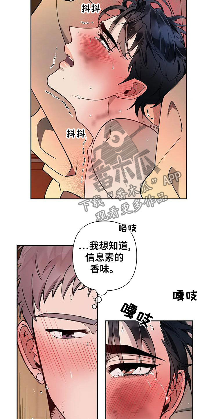第29章：香味5
