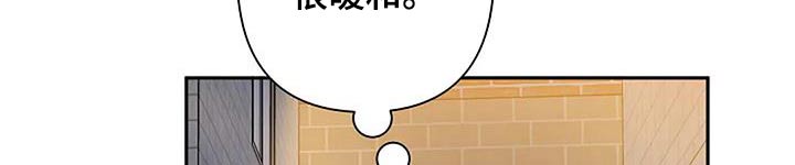 第44章：收尾17
