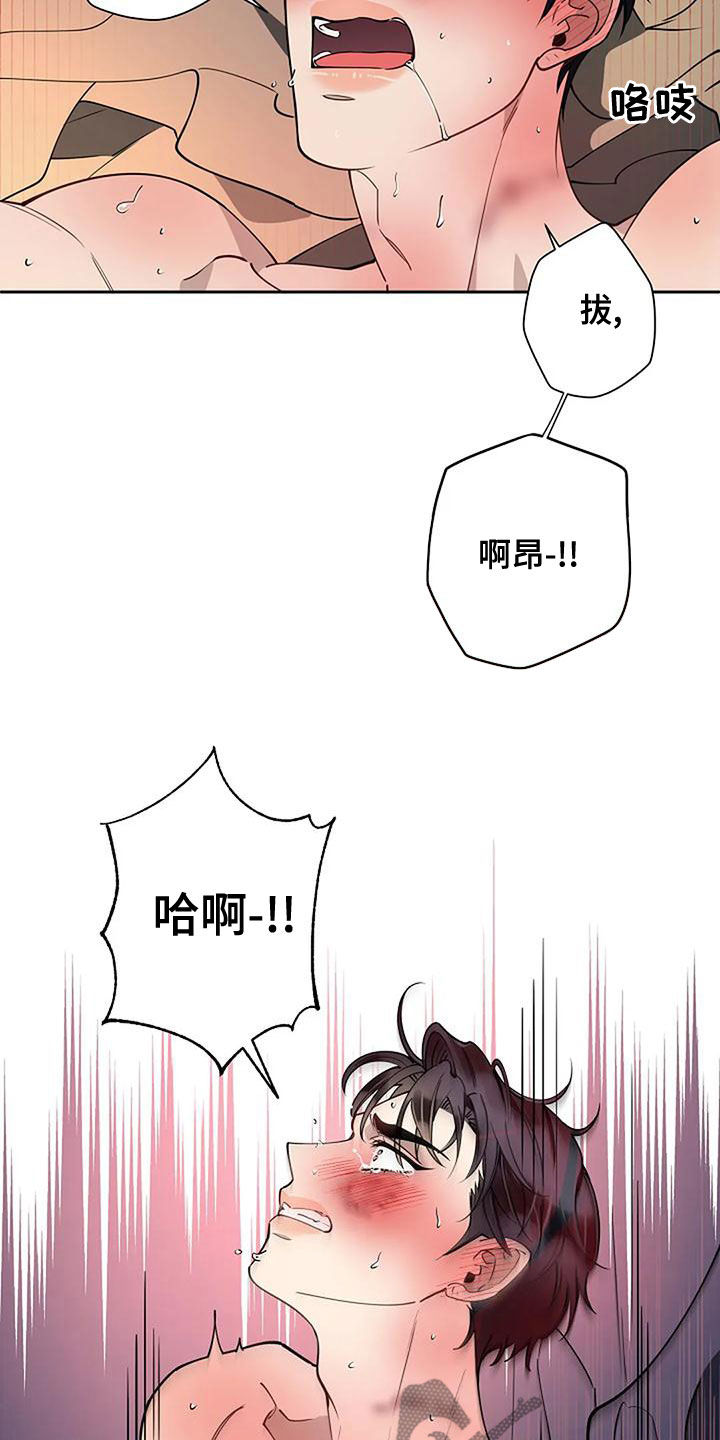 第29章：香味8
