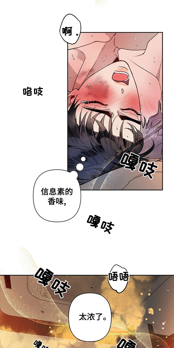 第29章：香味2