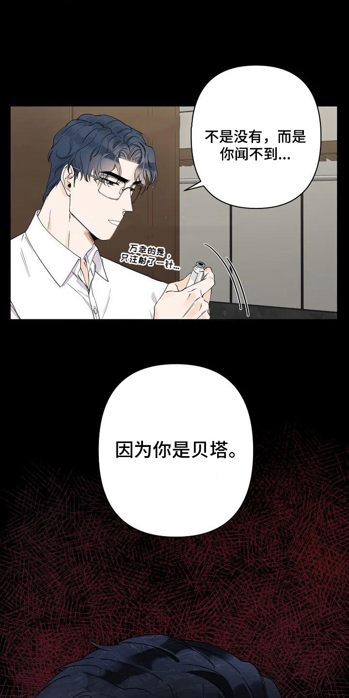 第2章：促进剂8