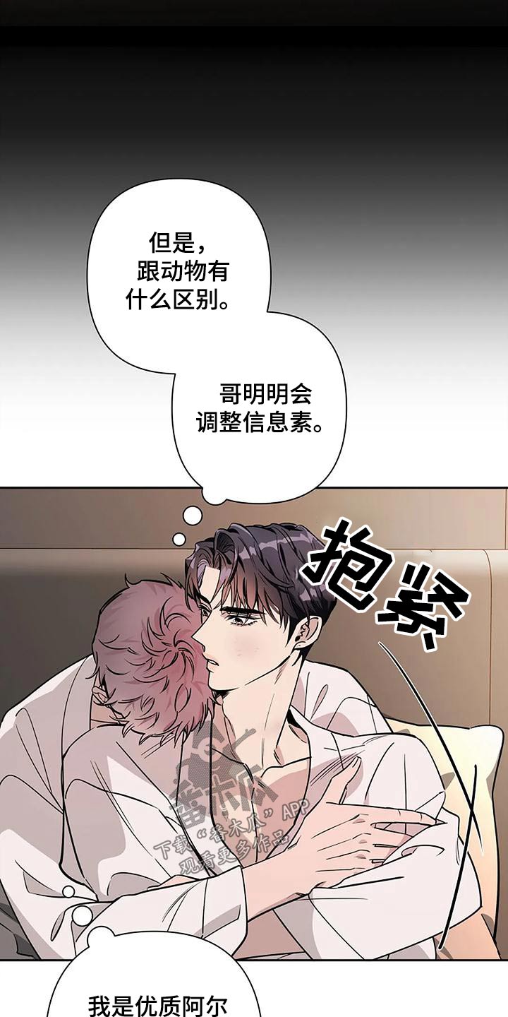 第41章：如果相爱5