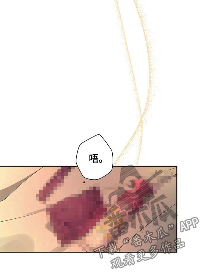 第28章：慢点8