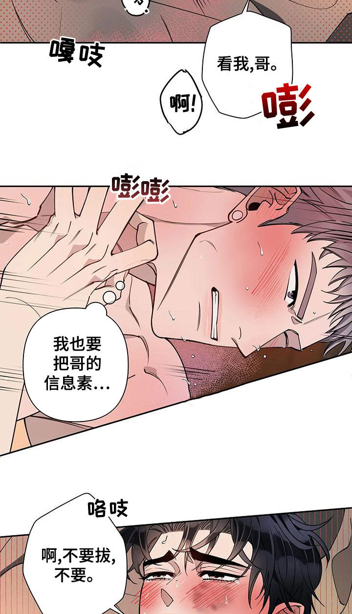 第29章：香味7