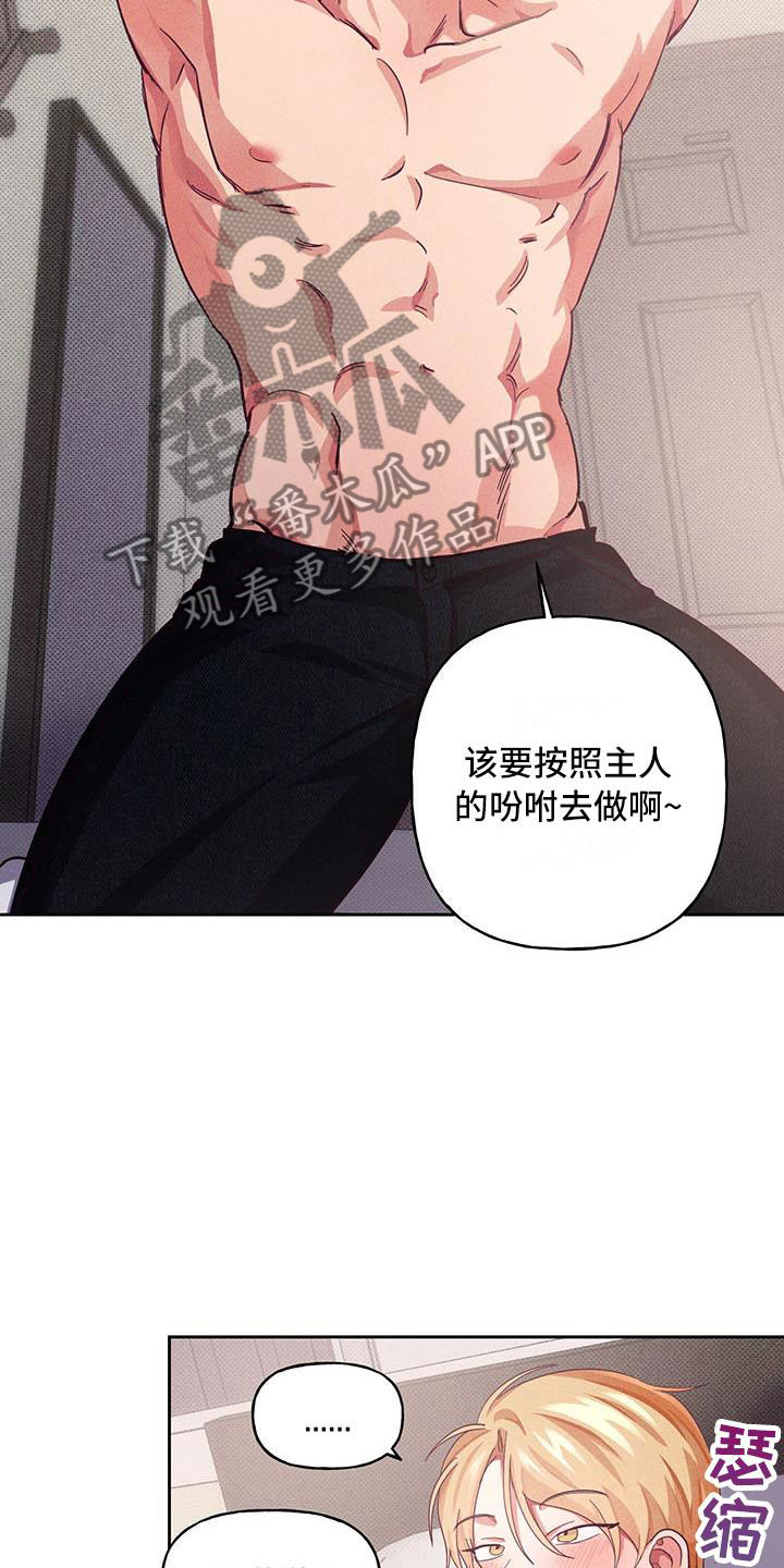 第11章：爱情笔记：喜欢这样？(完)8