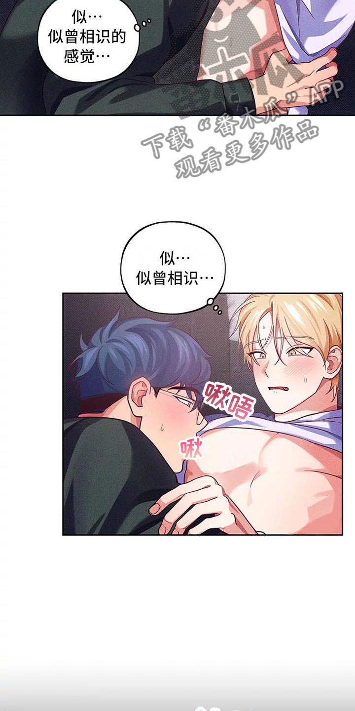 第7章：爱情笔记：我也很期待9
