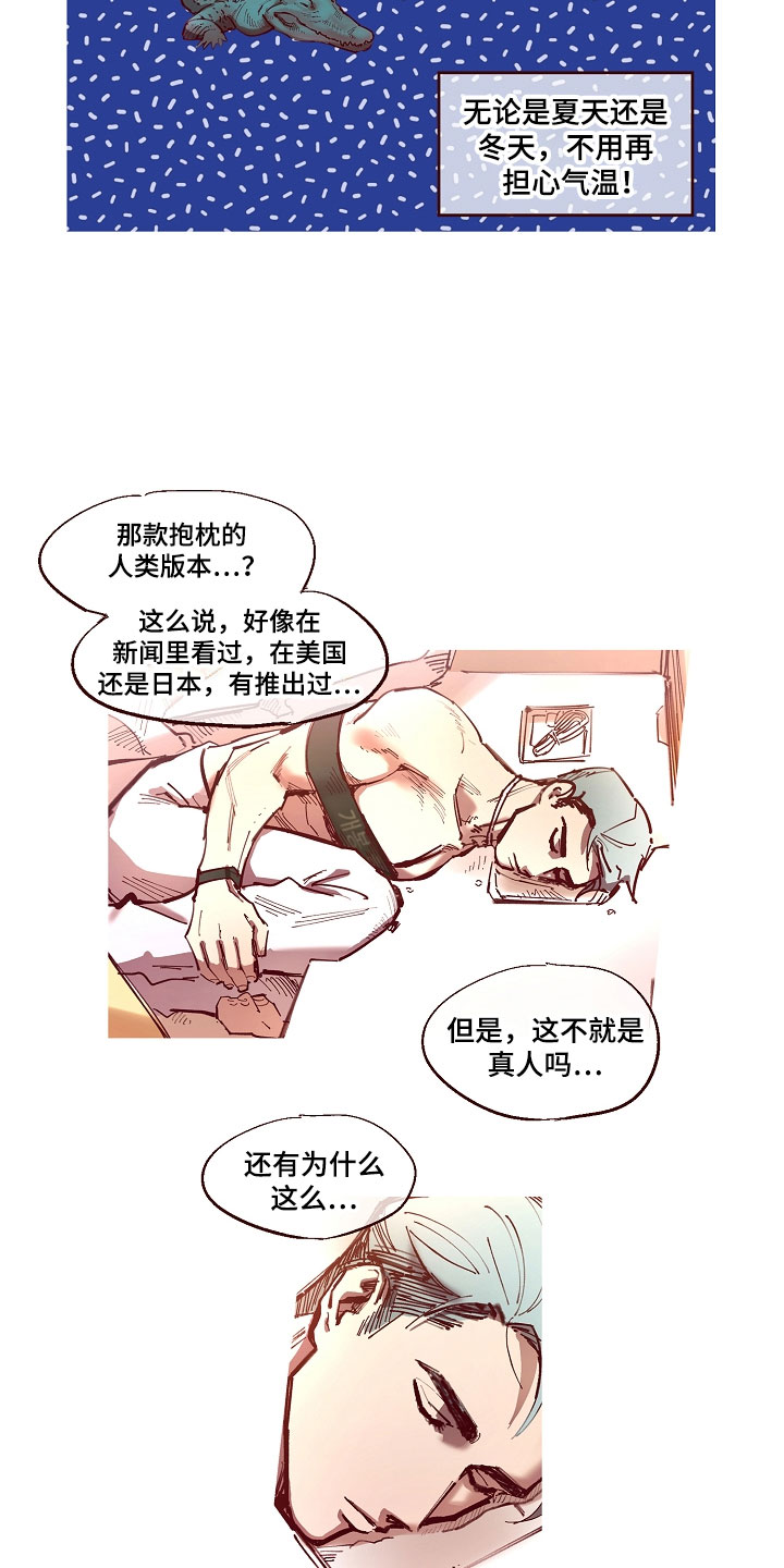 第1章：清凉与激情之间:人形抱枕14