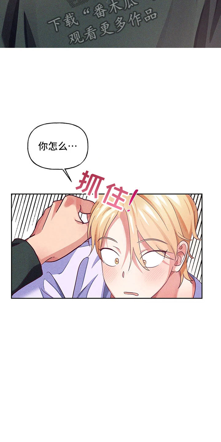 第6章：爱情笔记：突然强吻17