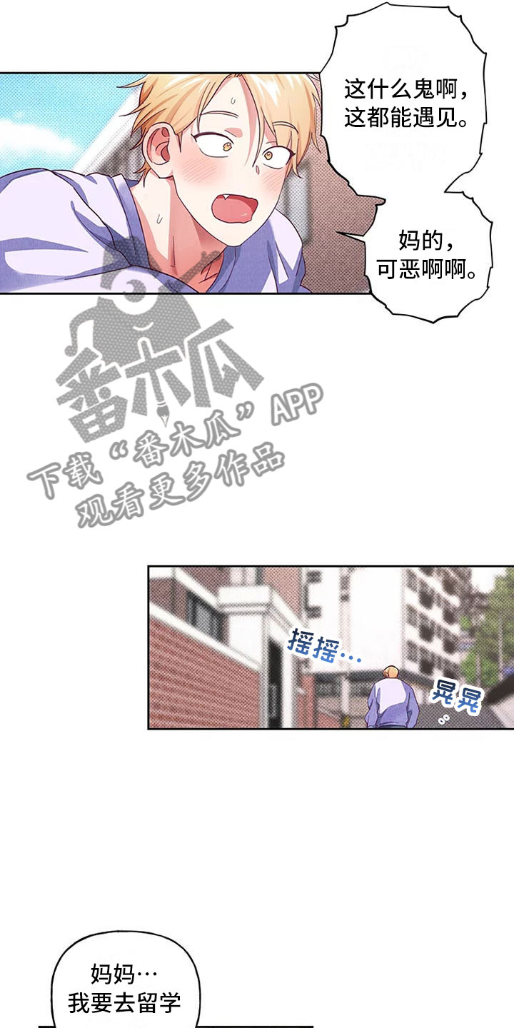 第6章：爱情笔记：突然强吻11