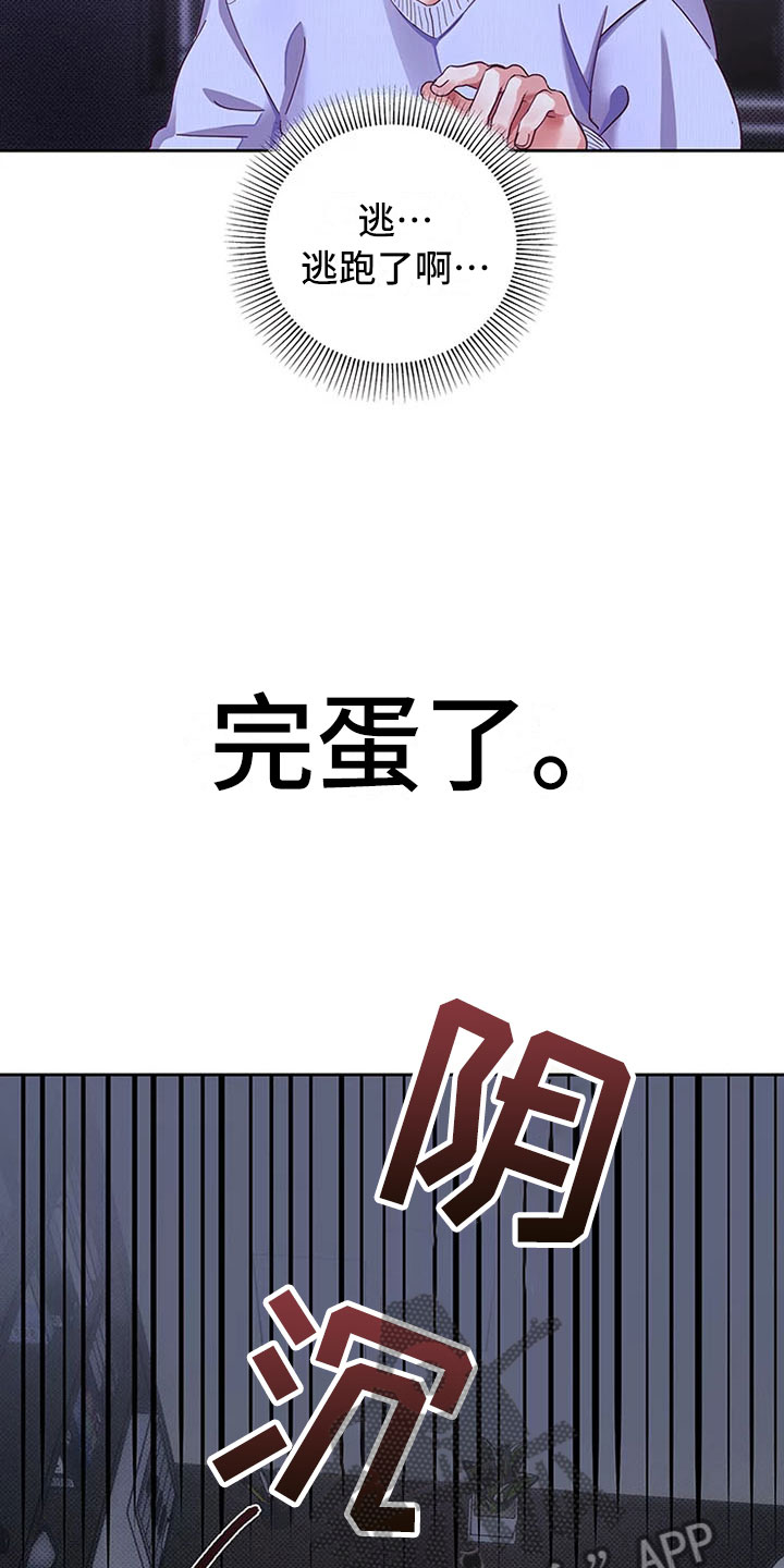第5章：爱情笔记：告白失败11