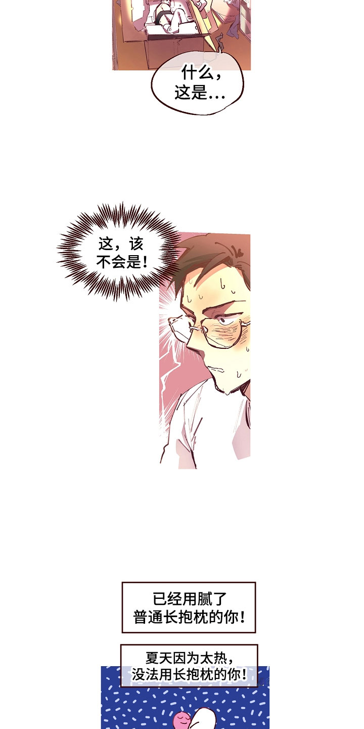 第1章：清凉与激情之间:人形抱枕12
