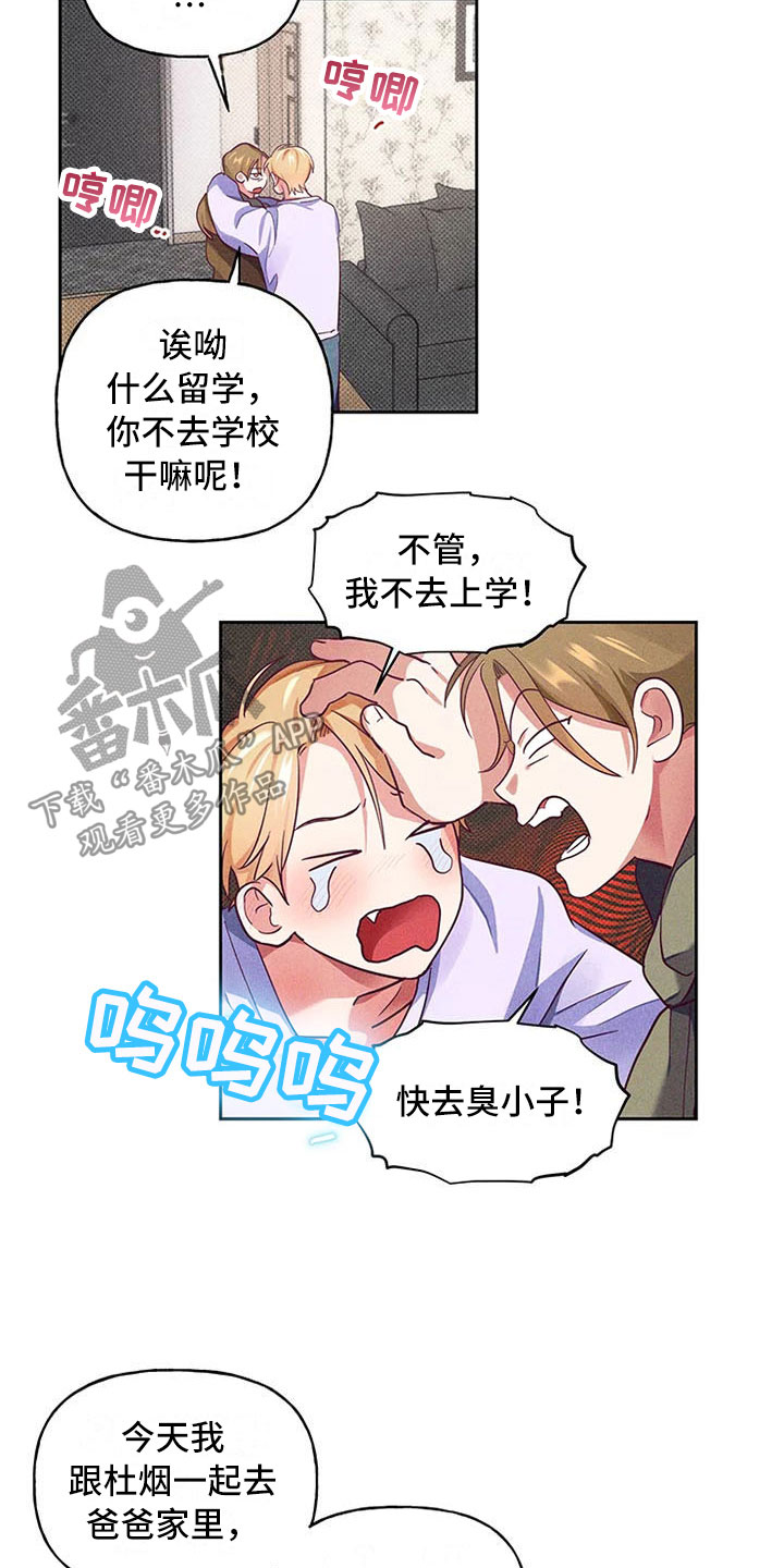 第6章：爱情笔记：突然强吻12