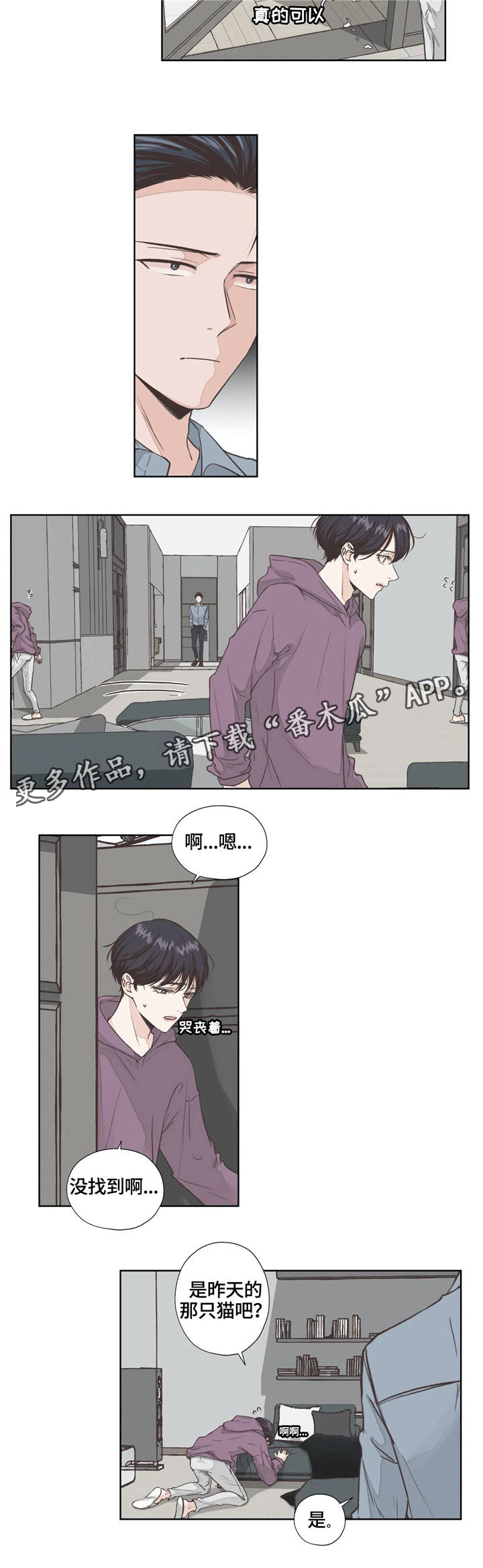 第4章：寻找11