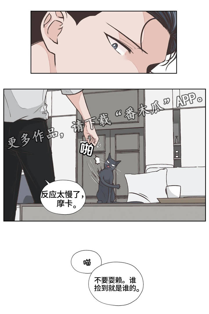 第17章：职业15