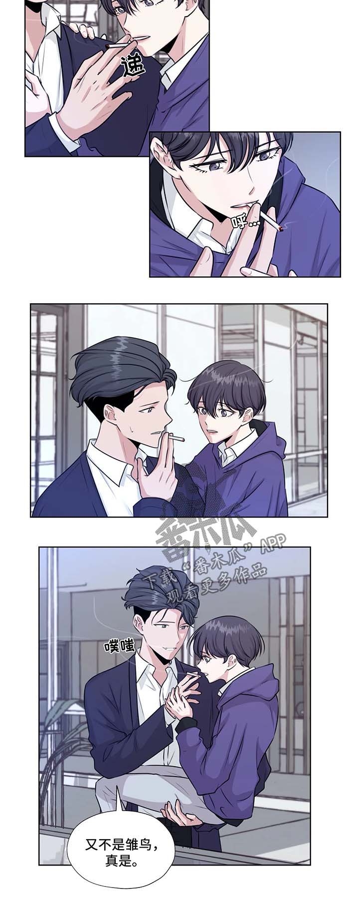 第46章：在这生活吧8