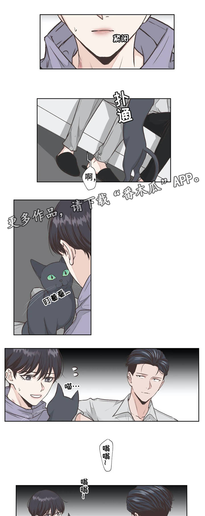 第17章：职业5