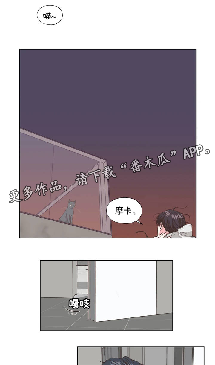 第19章：回忆10