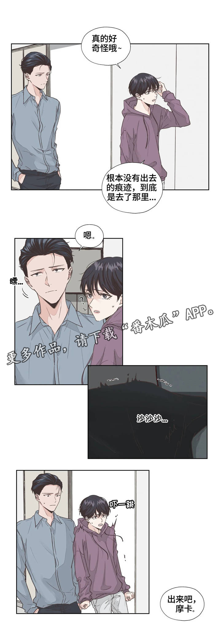 第4章：寻找12
