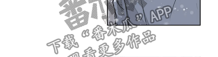 第142章：【番外】眼睛不会骗人22