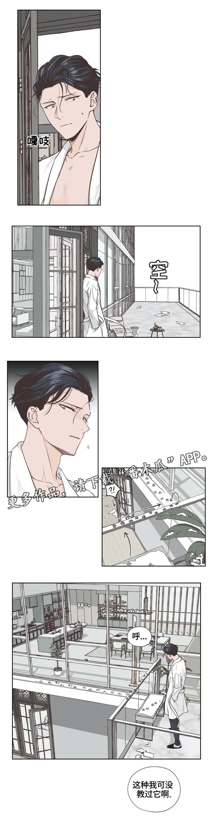 第4章：寻找5