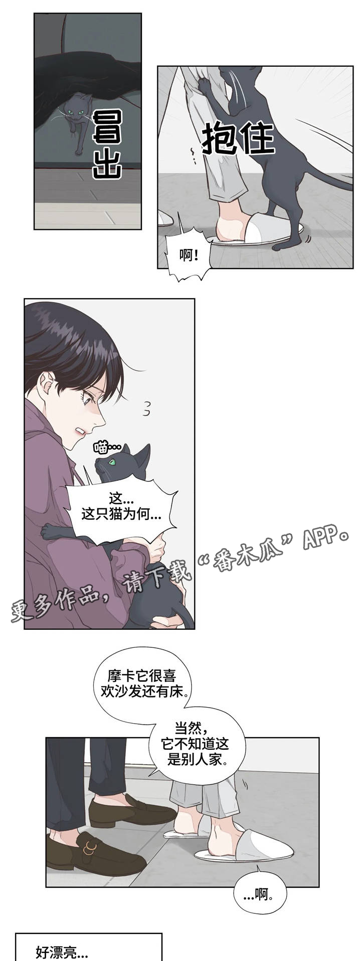 第4章：寻找13