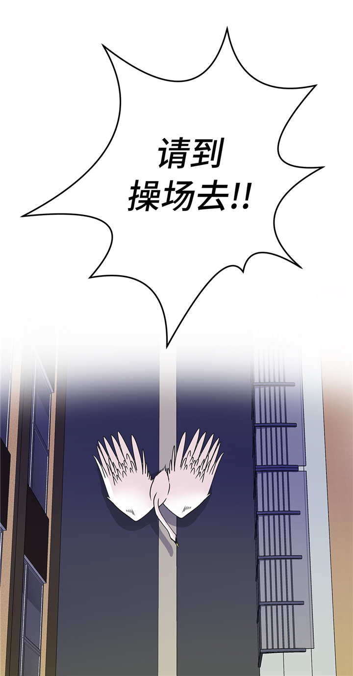 第81章：会场袭击27