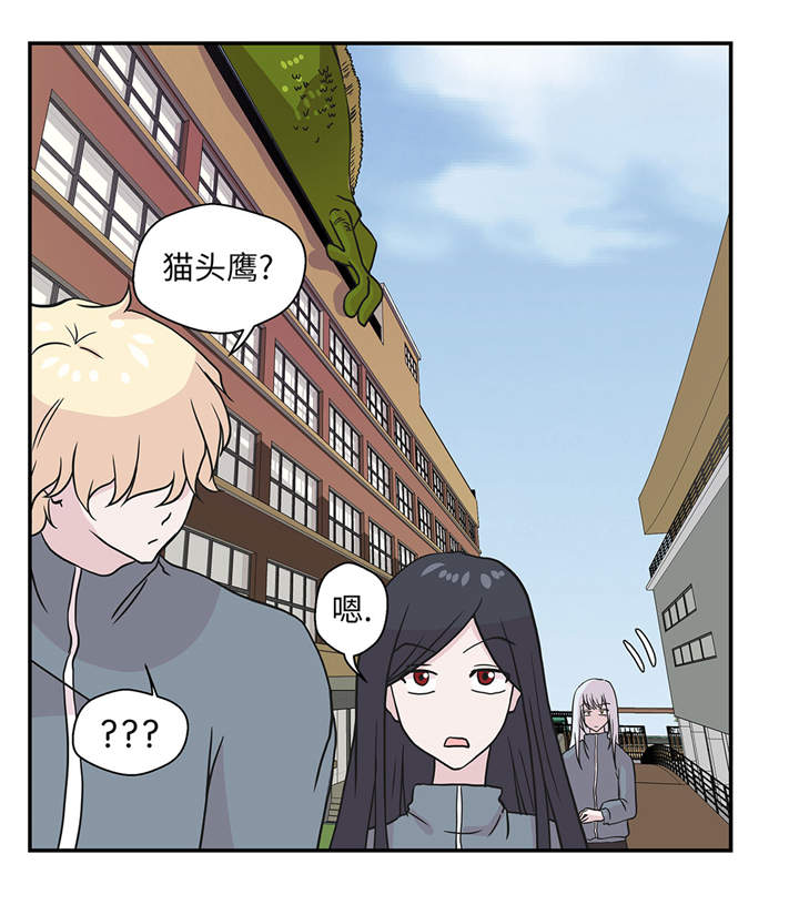 第36章：是龙21
