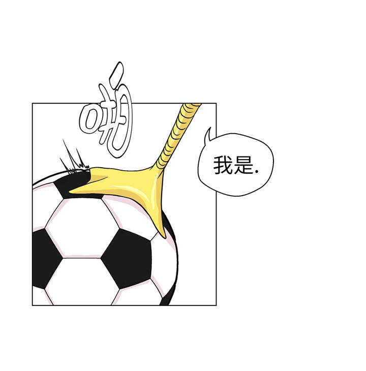 第28章：他没有发现13