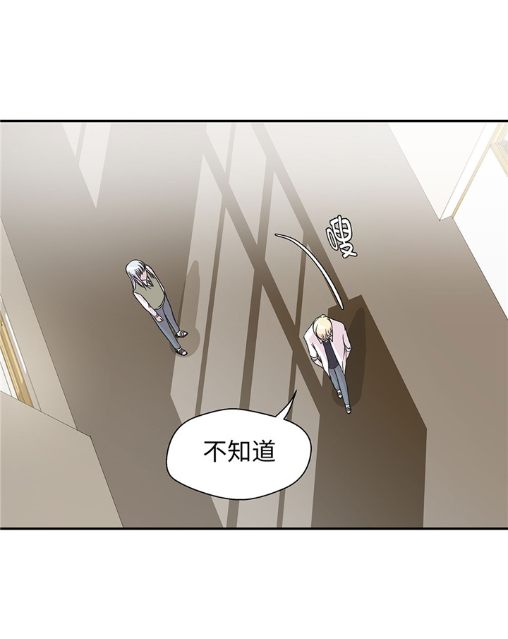 第60章：低级别31