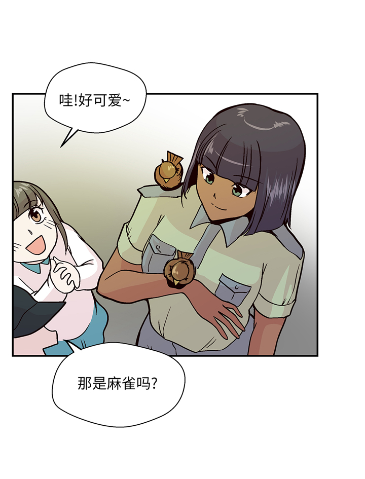 第94章：我想去走走39
