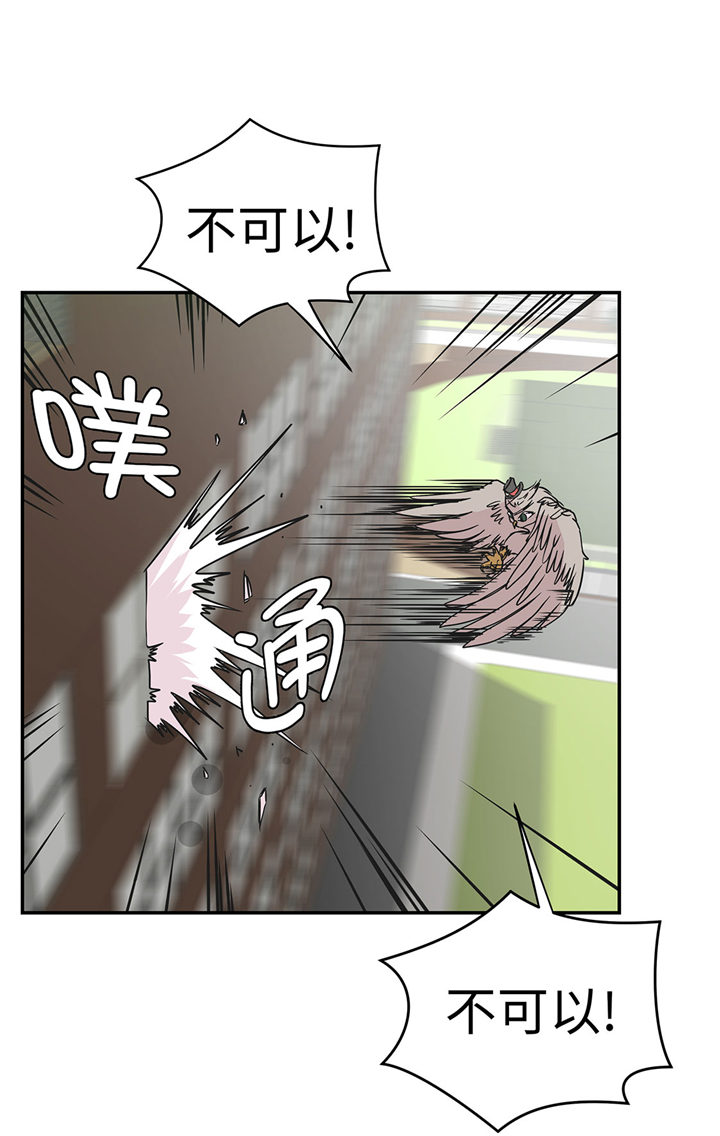 第66章：快下来20