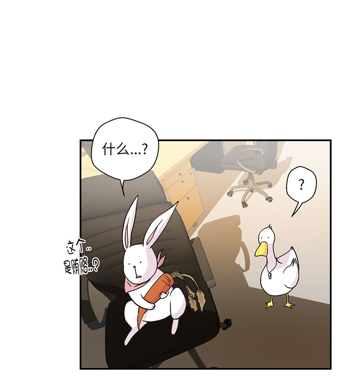 第61章：大萝卜16