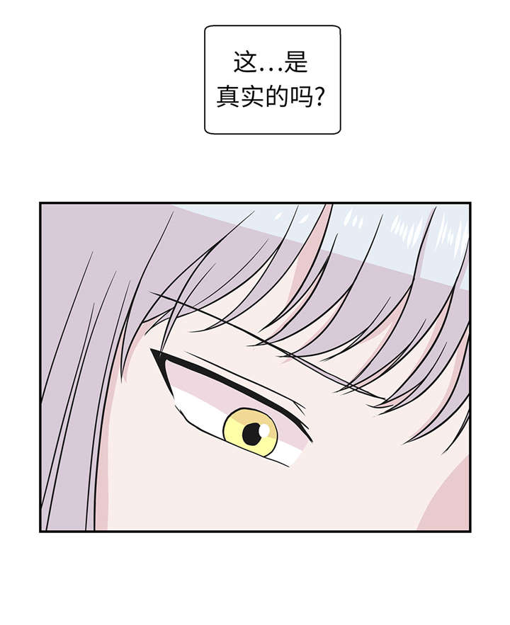 第52章： 被杀之前33