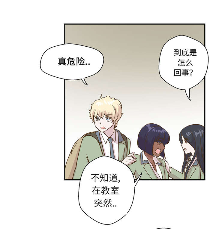 第14章：不是动物31