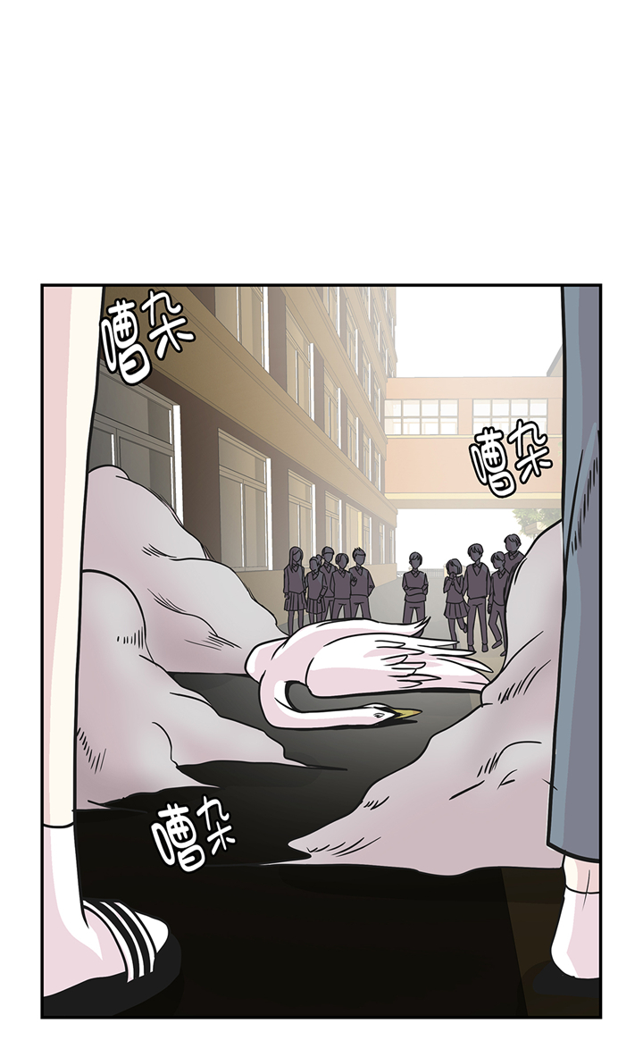 第81章：会场袭击18