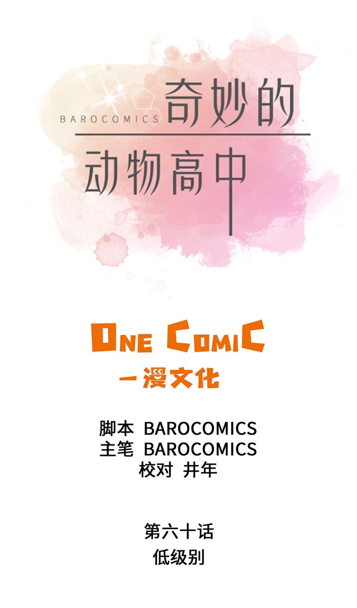 第60章：低级别10