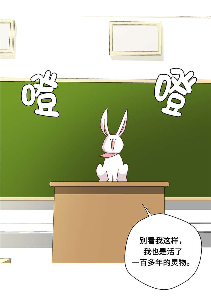 第8章：展示能力吧(上)19