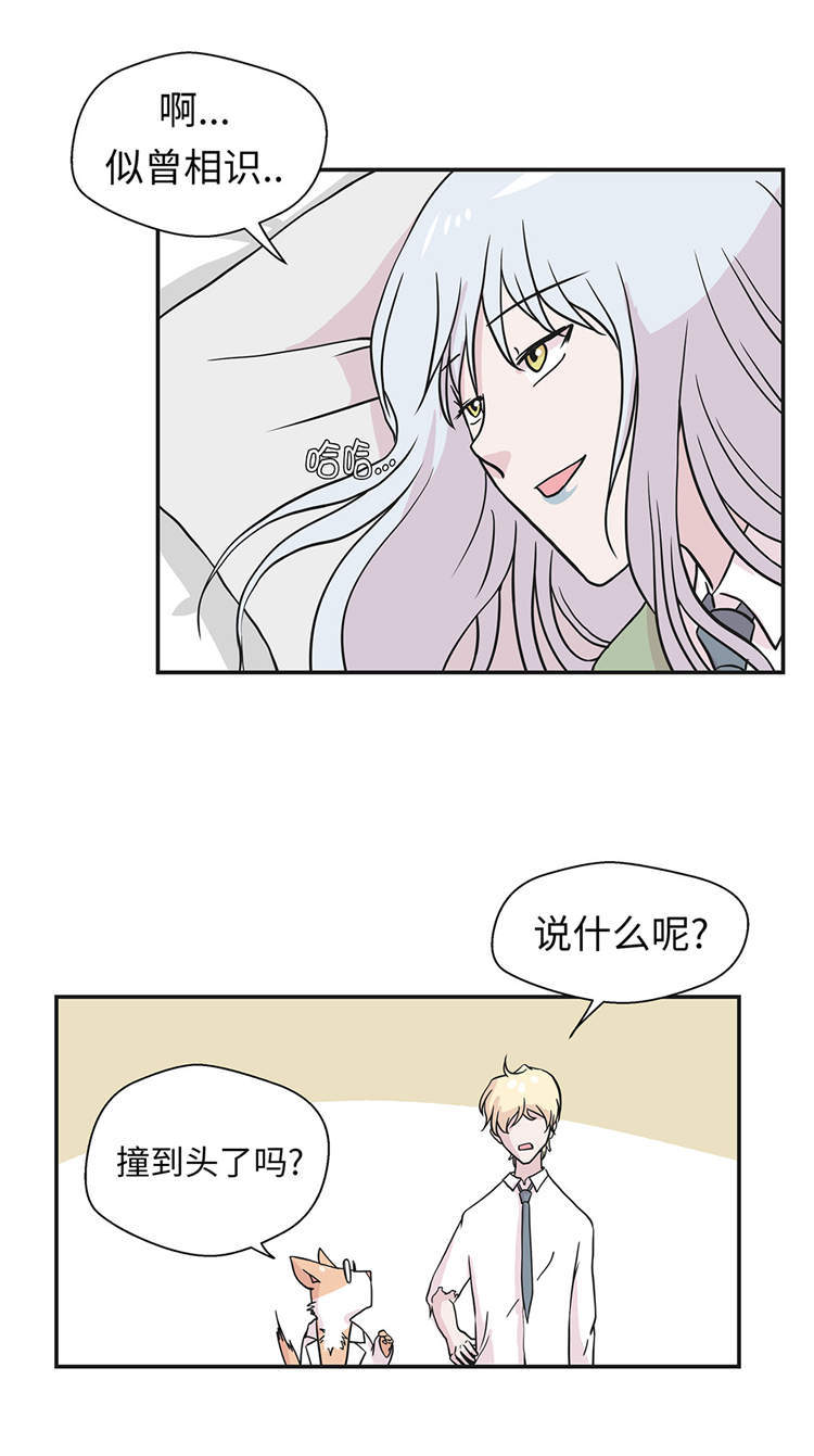 第44章：昏迷16