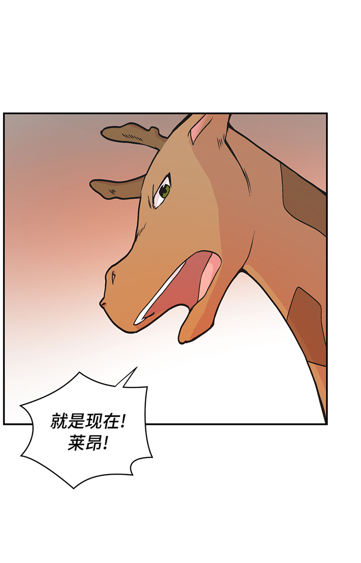 第90章：你这只笨狗！15