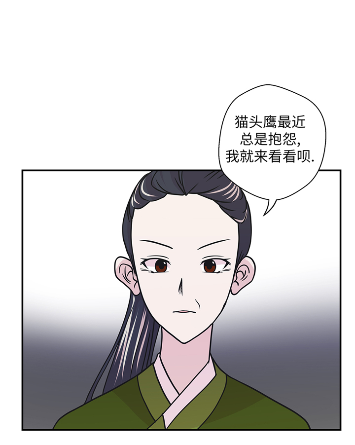 第77章：庆典前夕5
