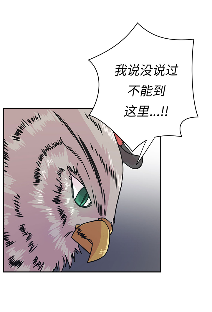 第67章：摔倒20