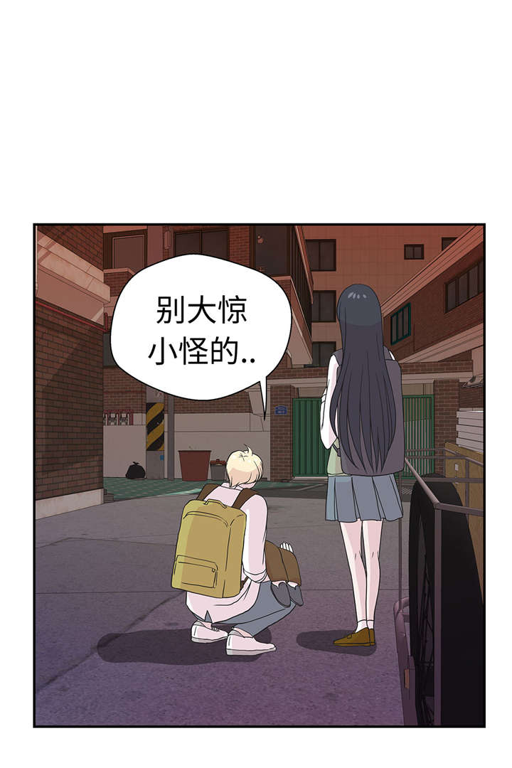 第52章： 被杀之前5