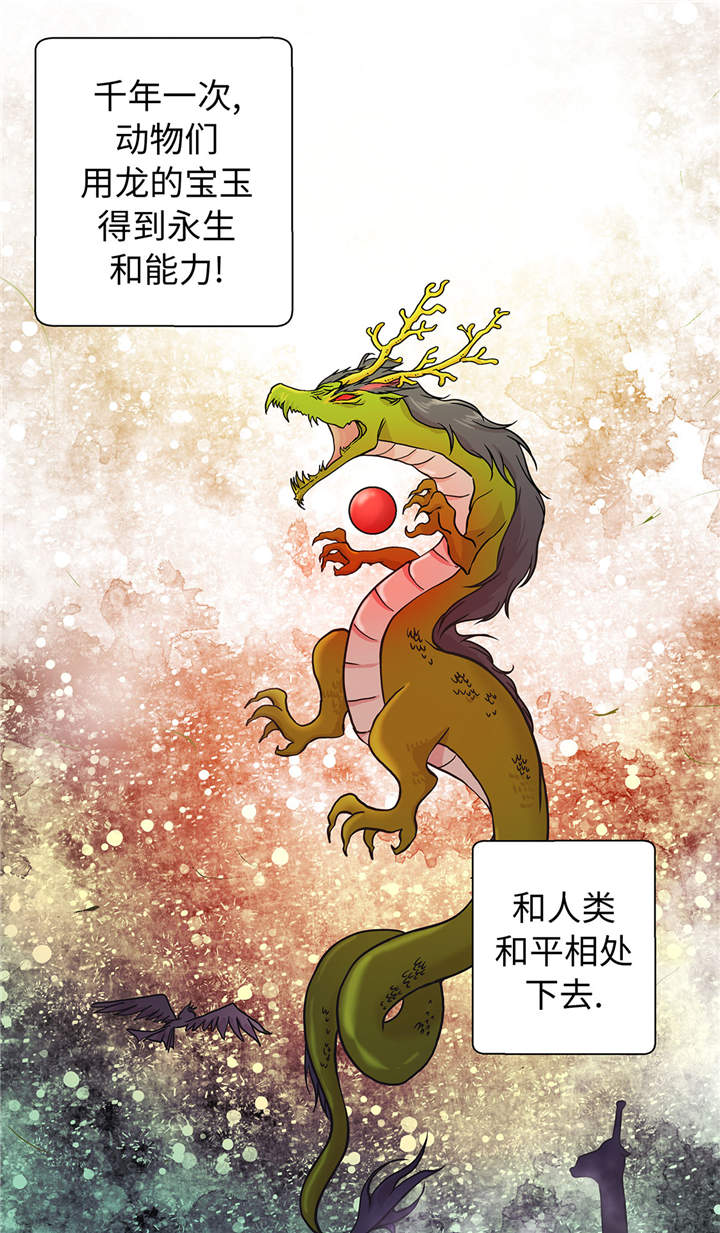 第49章：传说中的龙9