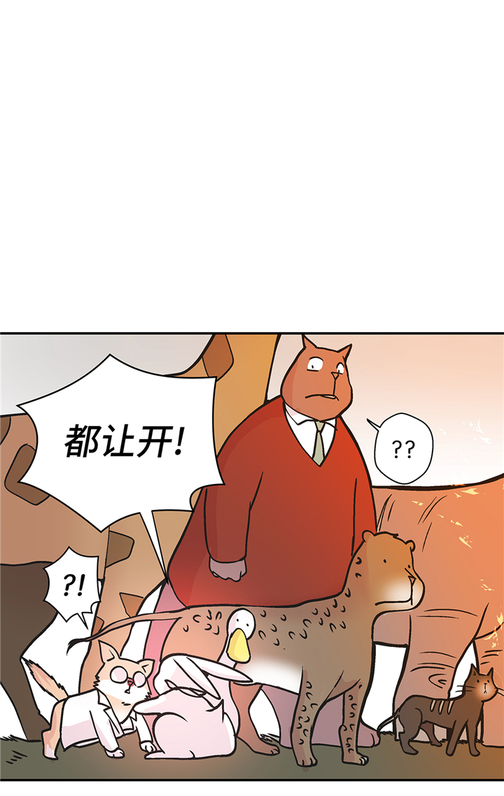 第90章：你这只笨狗！10