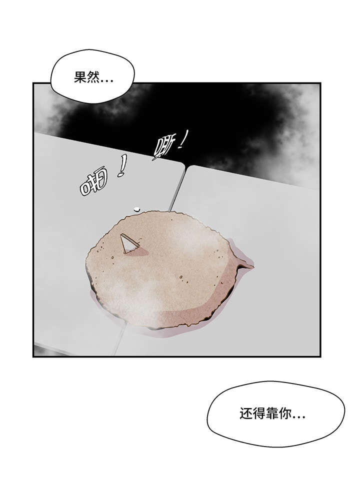 第10章：看不见的动物(上)15