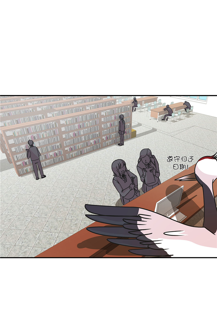第62章：经费不足13