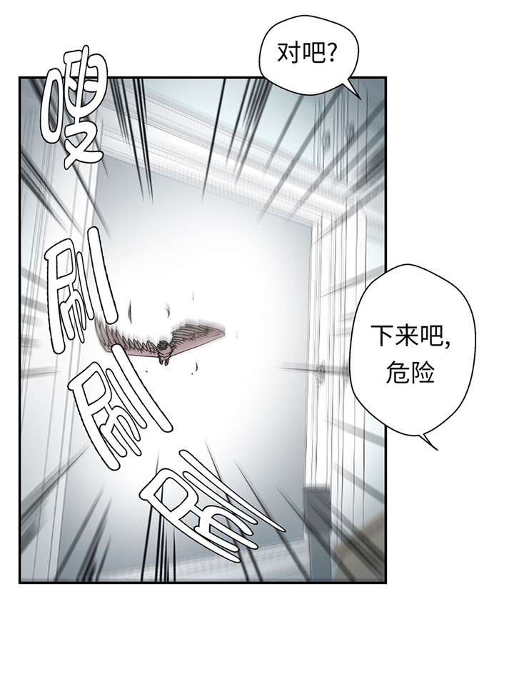 第66章：快下来32