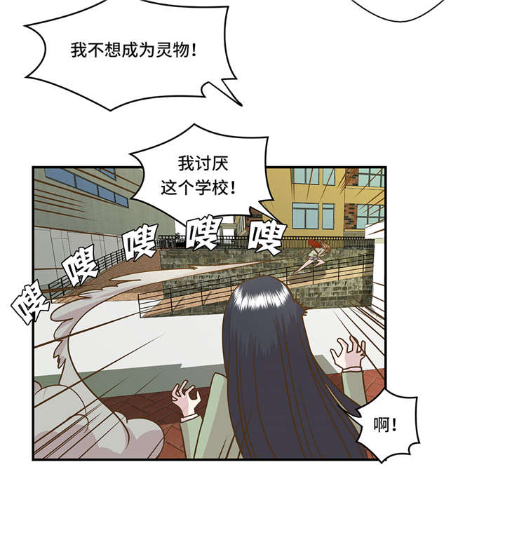 第2章：偶遇（上）12