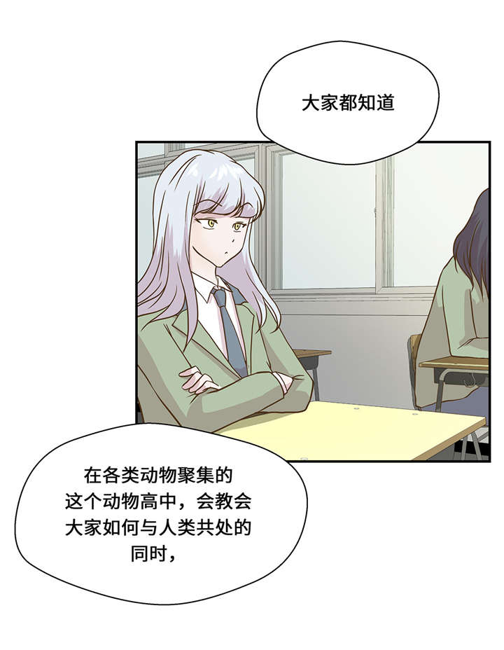 第8章：展示能力吧(上)21