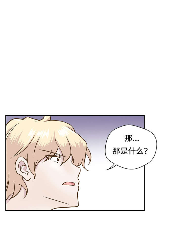 第14章：不是动物19